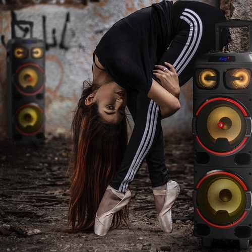 NGS WILD DUB 1 Negro  - Altavoz Portátil 300W