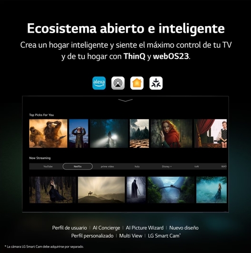 LG 65QNED826RE Negro - TV 65" HDR10 Smart TV