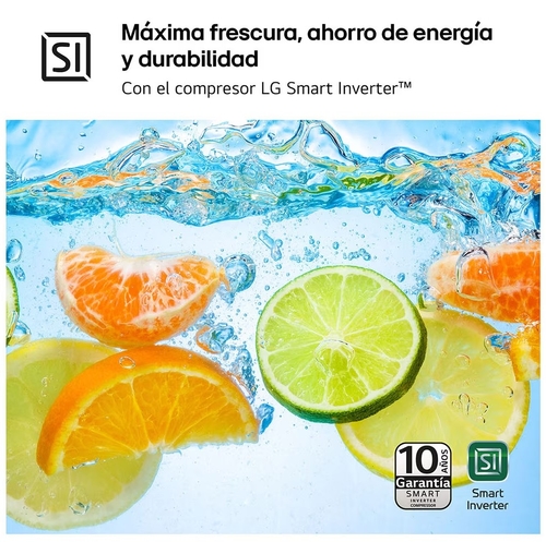 LG GTF-916-PZPED INOX - Frigorífico Dos Puertas No Frost