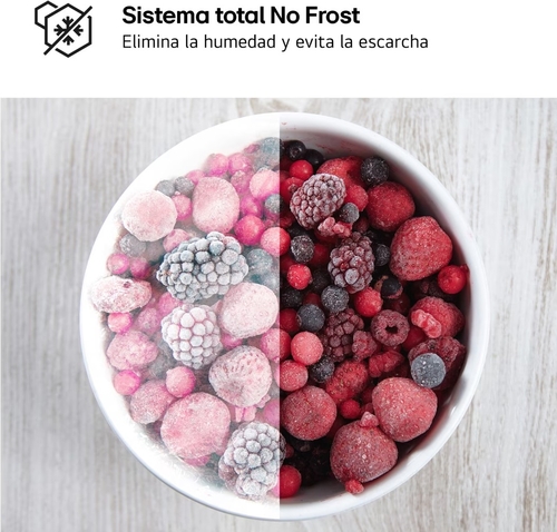 LG GTBV-22-SWGKD Blanco - Frigorífico Dos Puertas No Frost