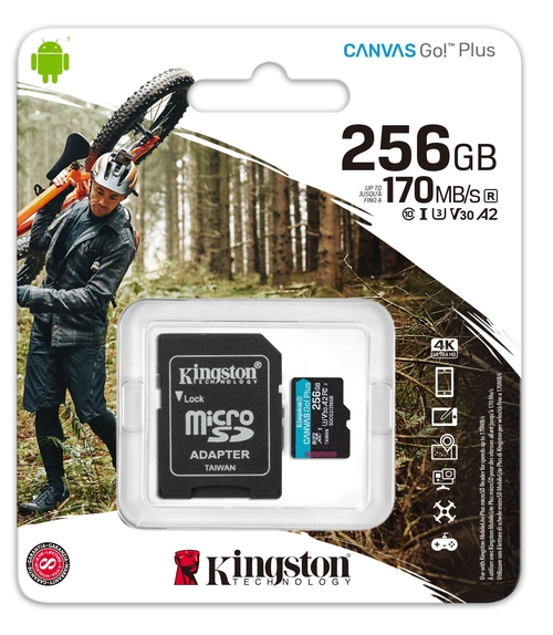 KINGSTON SDCG3/256GB Negro - Tarjeta de Memoria + Adaptador