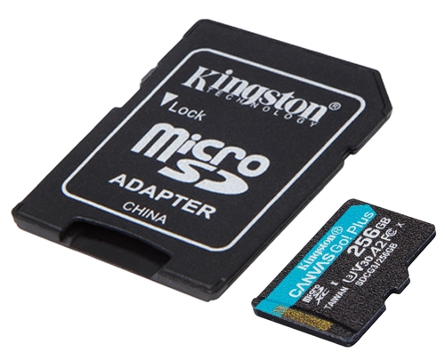 KINGSTON SDCG3/256GB Negro - Tarjeta de Memoria + Adaptador