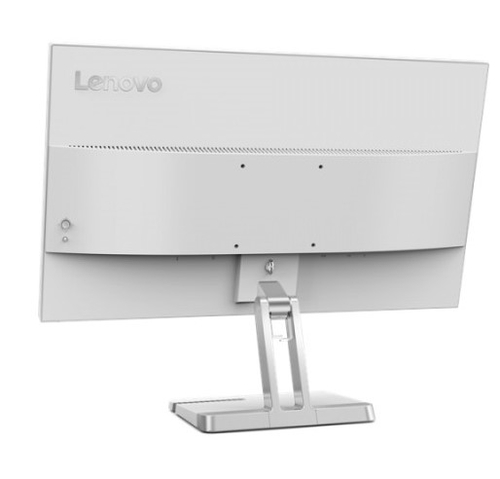 LENOVO L25E-40 Gris - Monitor 24.5" FULL HD