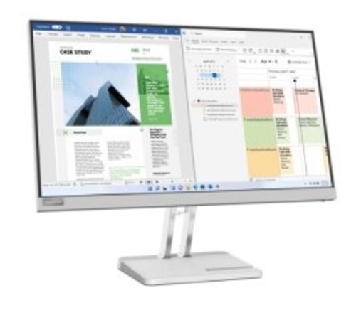 LENOVO L25E-40 Gris - Monitor 24.5" FULL HD