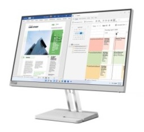 LENOVO L25E-40 Gris - Monitor 24.5" FULL HD