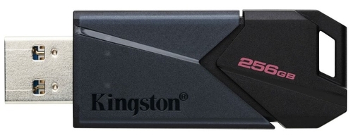 KINGSTON EXODIA ONYX Negro - Pendrive 256GB