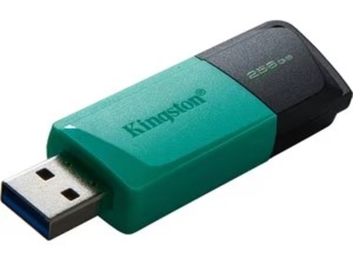 KINGSTON DATATRAVELER EXODIA DTXM Verde - Pendrive 256GB