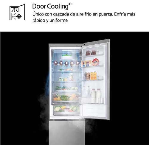 LG GBV5250EPY INOX - Frigorífico Combi No Frost