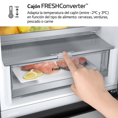 LG GBV5250EPY INOX - Frigorífico Combi No Frost