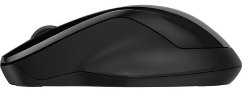 HP 250 Negro - Ratón Inalámbrico