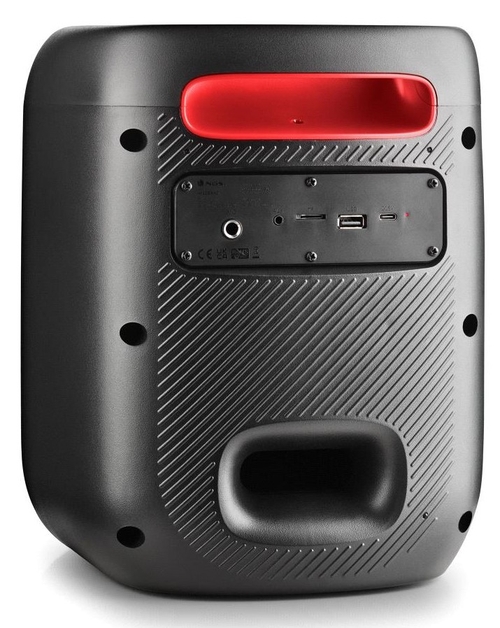 NGS WILD SWAG GO Negro - Altavoz Portátil 80W